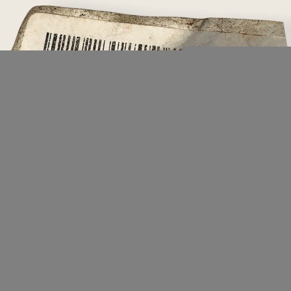 Chicote Porta Traseira Direita Fiat Mobi 2017/2018 (1015)