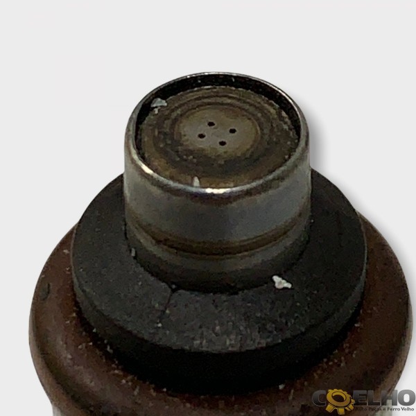 Bico Injetor Ford Focus 1.6 16v 2013 (1271)