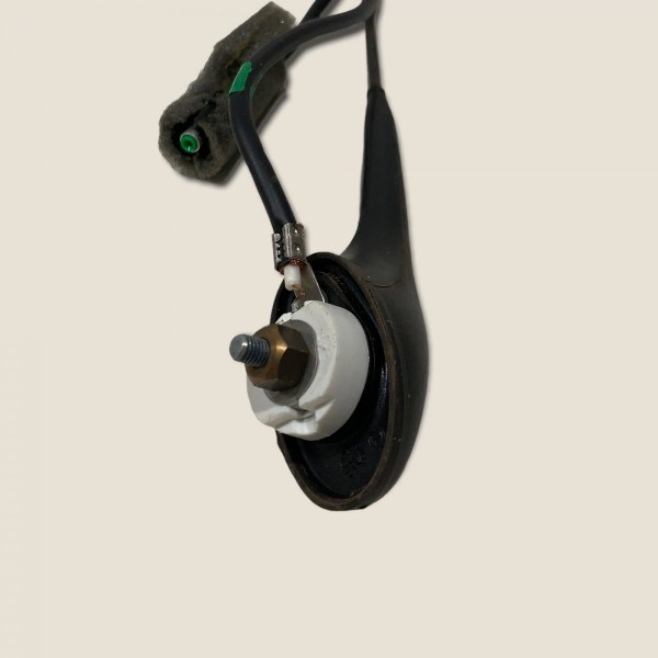 Antena De Teto Rádio Palio Trekking 2012 (3490)