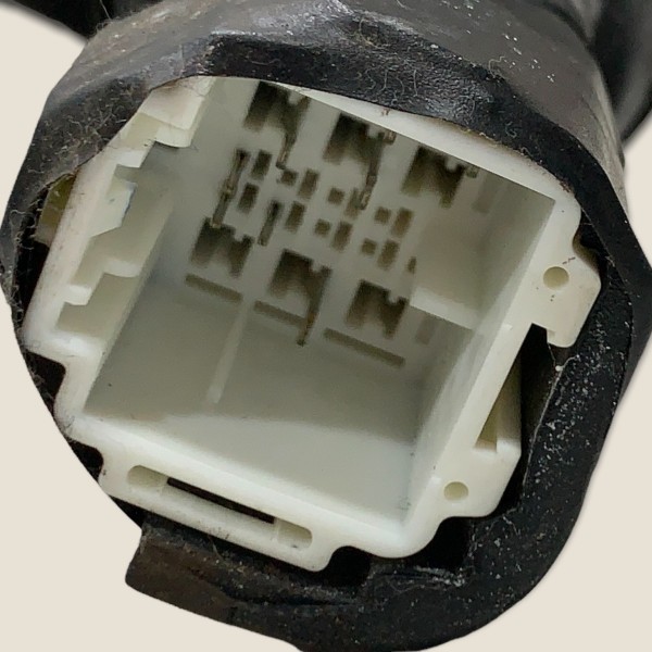 Chicote Porta Traseira Esquerda Honda Fit Exl 2013