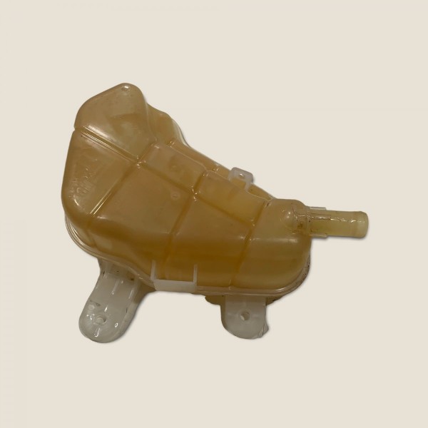 Reservatório Água Radiador Onix Lt 1.0 2019 (3809)