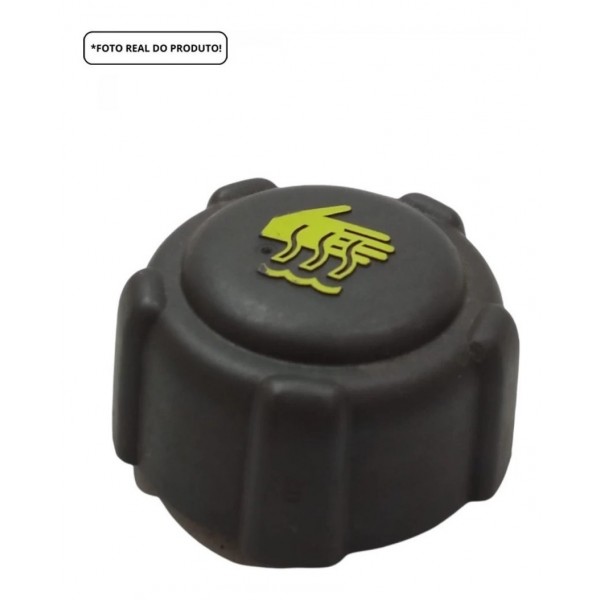 Tampa Reservatório Radiador Renault Sandero 1.6 St 2019/20