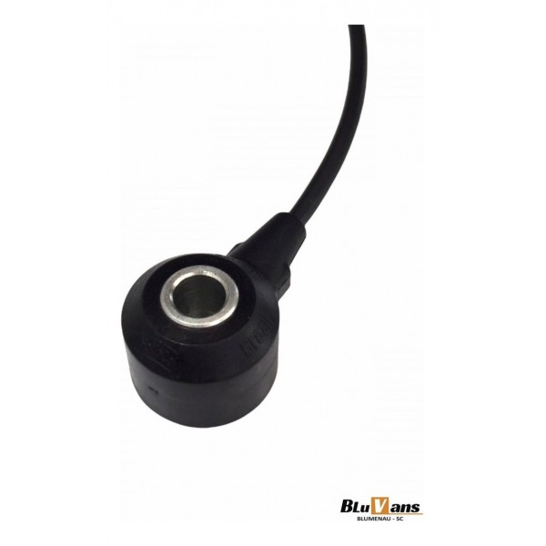 Sensor Detonação Ford Ecosport Se 1.5 2020/21