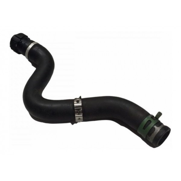 Mangueira Renault Clio 1.0 16v 2010-11 (compare!)