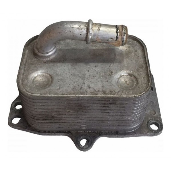 Radiador Resfriador Óleo Citroen C4 2.0 Ex 2009/10+brinde!