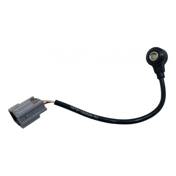 Sensor De Detonação Ford Focus 2015 Usado
