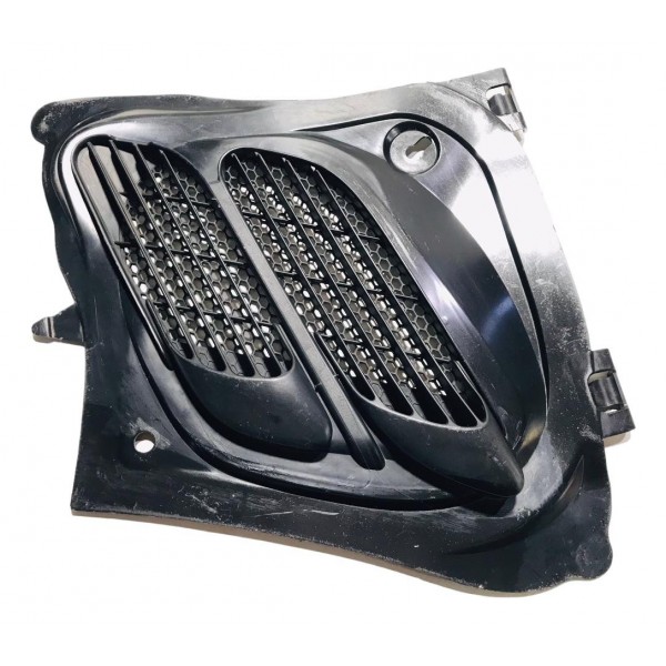 Grade Entrada De Ar Do Capô Peugeot 206 2001/2008