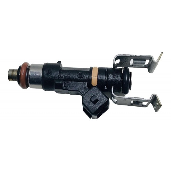 Bico Injetor Ford Focus Ecosport 1.6 16v Flex  2013 Original