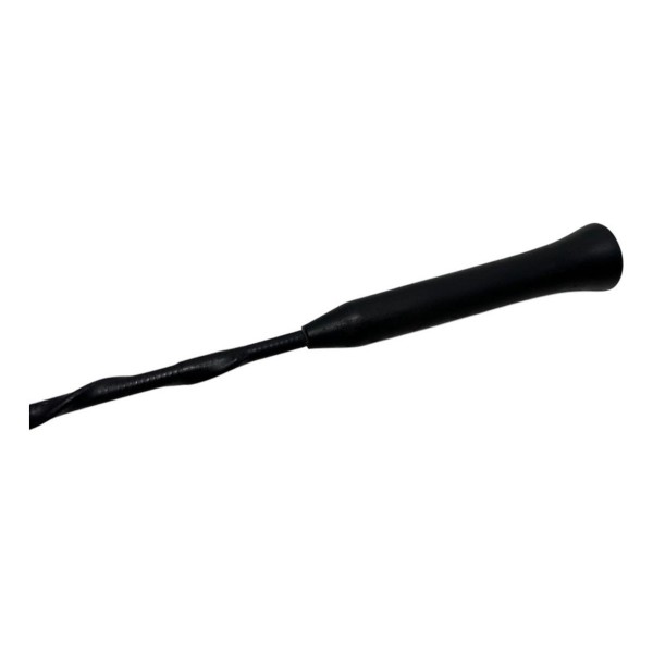 Antena Teto Fiat Palio Attract 1.0 2015