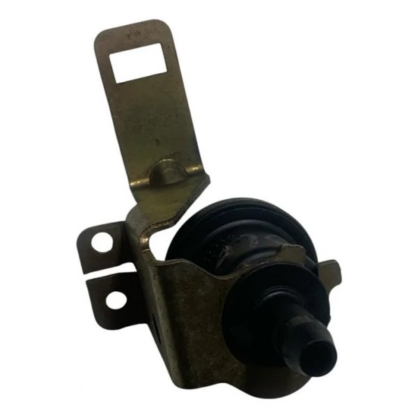 Válvula Canister Fiat Palio Gm Astra Zafira 2001/2008
